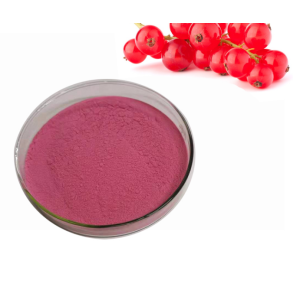 Cranberry Fruit Extract Concentrate Juice Powder Extract