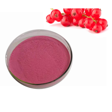 Cranberry Fruit Extract Concentrate Juice Powder Extract