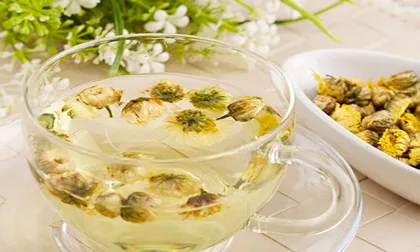 organic chrysanthemum flower tea