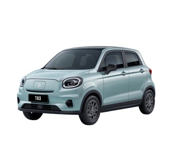 Black Leap Motor T03 200 Km Electric Car EV