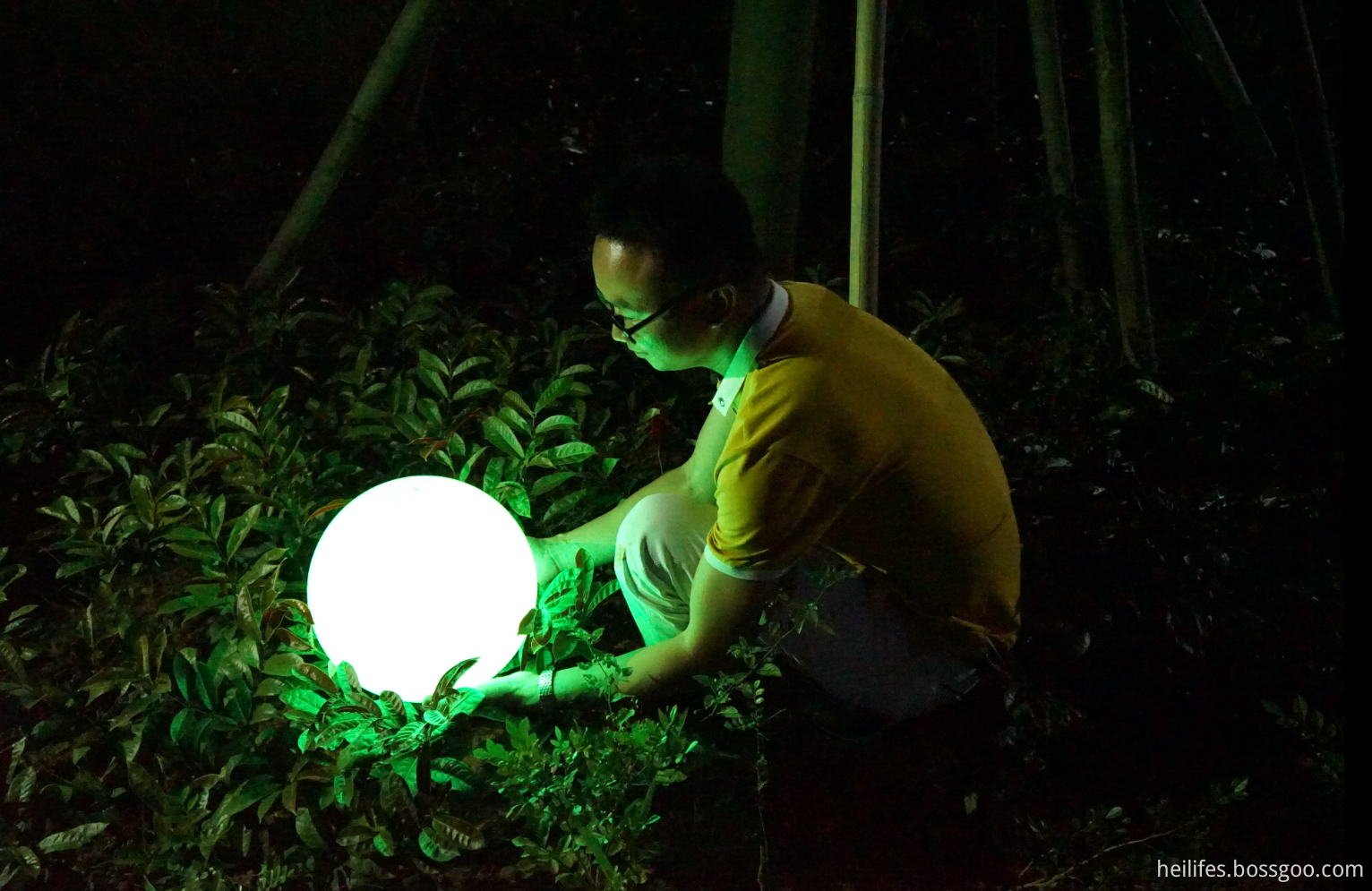 LED Solar Colorful Lawn Light