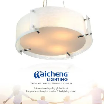 Hot sales Pendent lighting fixture