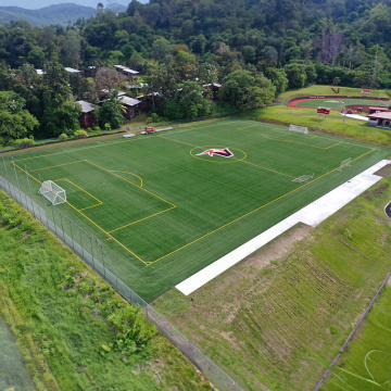 Grass artificiels de football de football