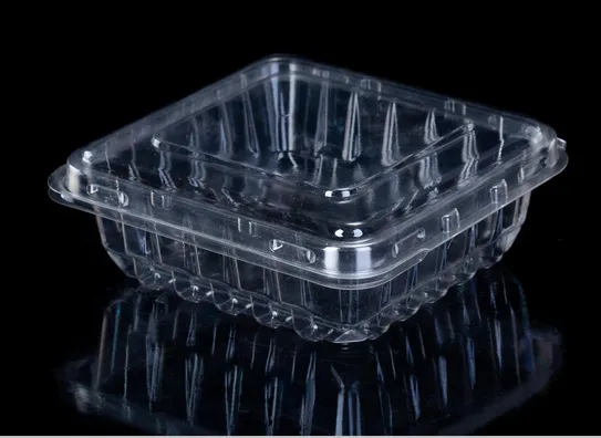 Fresh Blueberry Fruit Container