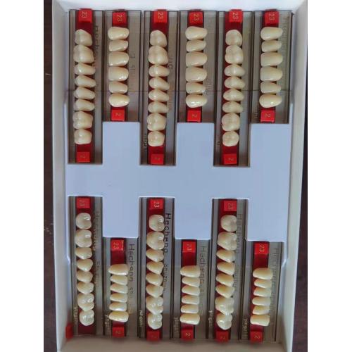 Dental Full Set Denture Two Layers resin teeth