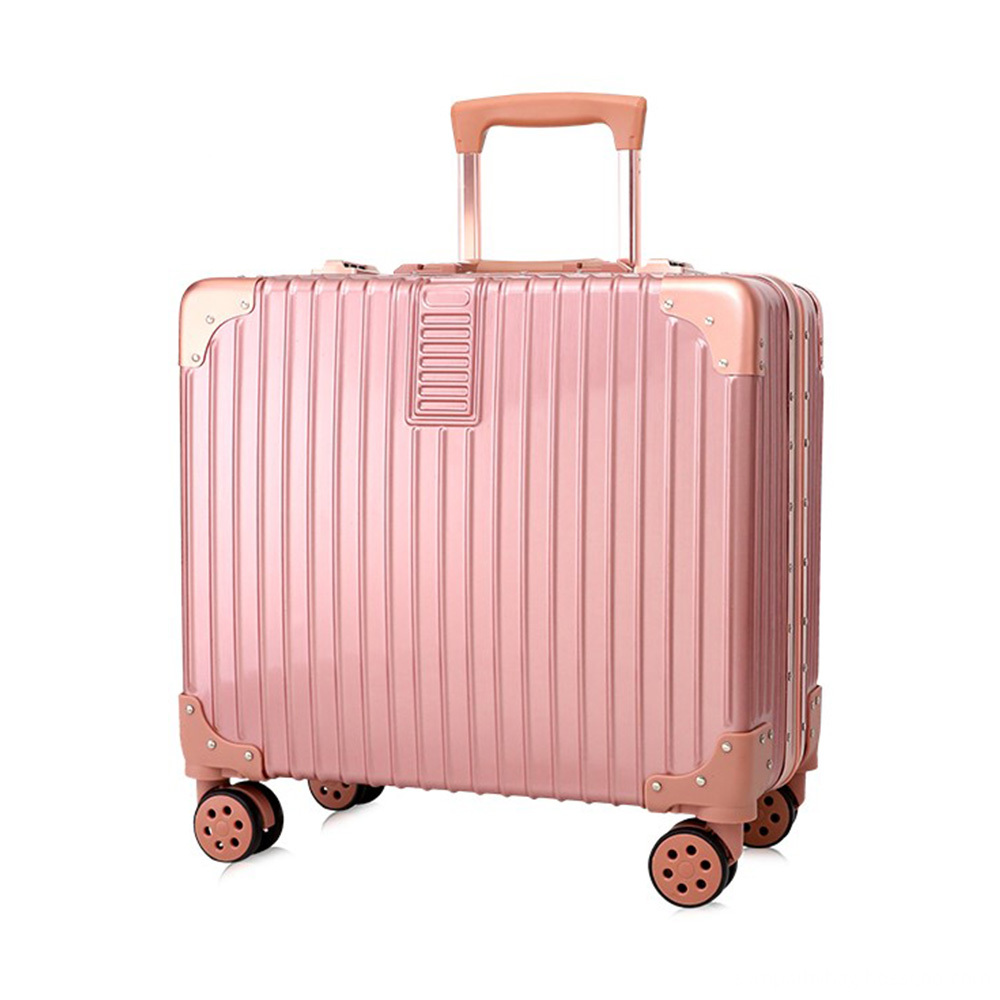 ABS material trolley case