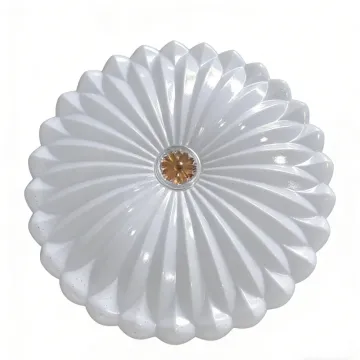 Ceiling-mounted light for home rooms