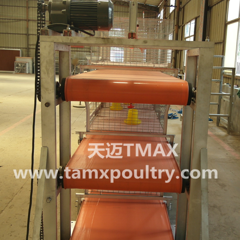 Poultry Manure Removal System