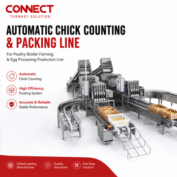Automatic Chick Counting and Packing System for Poultry Breeding
