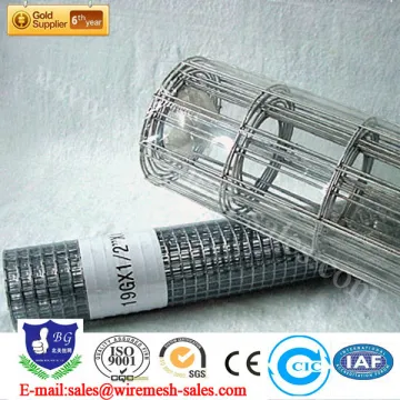 1x1 vietnam elector galvanzied welded wire mesh Best price! Manufacturer