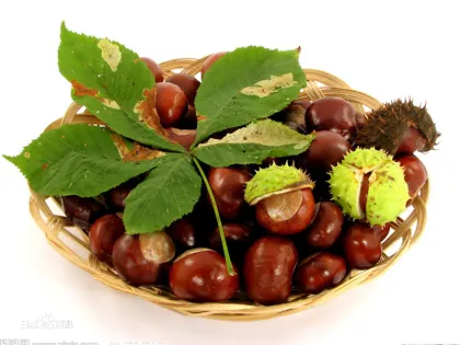High Quality New Chestnut