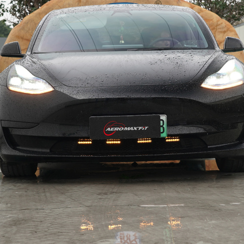 Tesla Model 3 front grille insect net