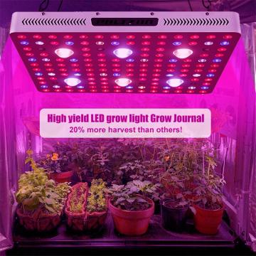 Lámpara de cultivo LED 3000w para invernadero