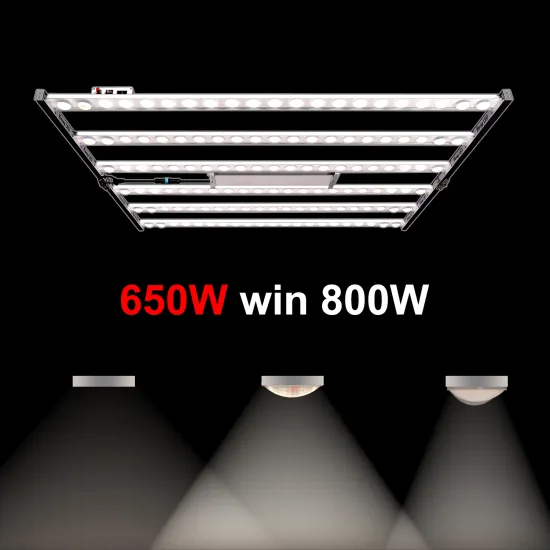 Samsung LM301H Full Spectrum LED Grow Light vs Koray 700W G80 LED Grow Light for Home Indoor Gardening" 

However, if you need a more concise title suitable for a search engine:

"Koray 700W G80 LED Grow Light vs Samsung LM301H for Indoor Gardening