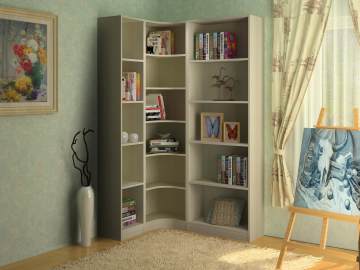 Chinese MDF Furniture Book Cabinet (H-131)