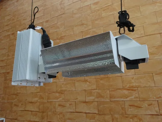 Hydroponics Indoor Grow Integrated 1000 watt Double Ended HPS MH Grow Light Reflector