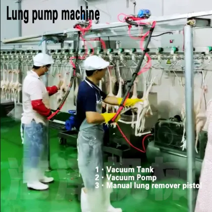 Poultry lung suction machine