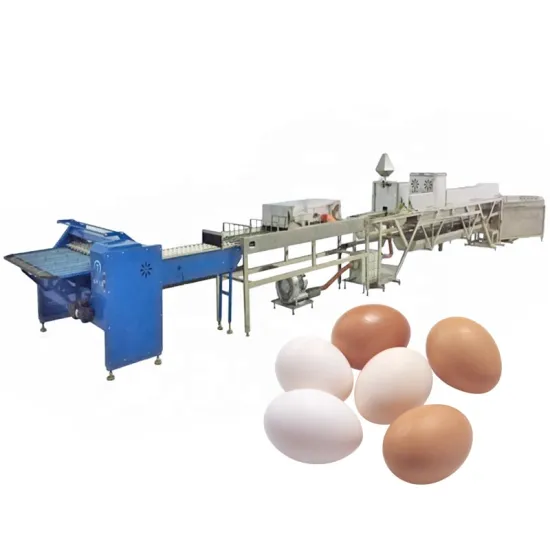 Automatic 5000Pcs/H Egg Brushing Drying Line - Raw Chicken Egg Washing Machine