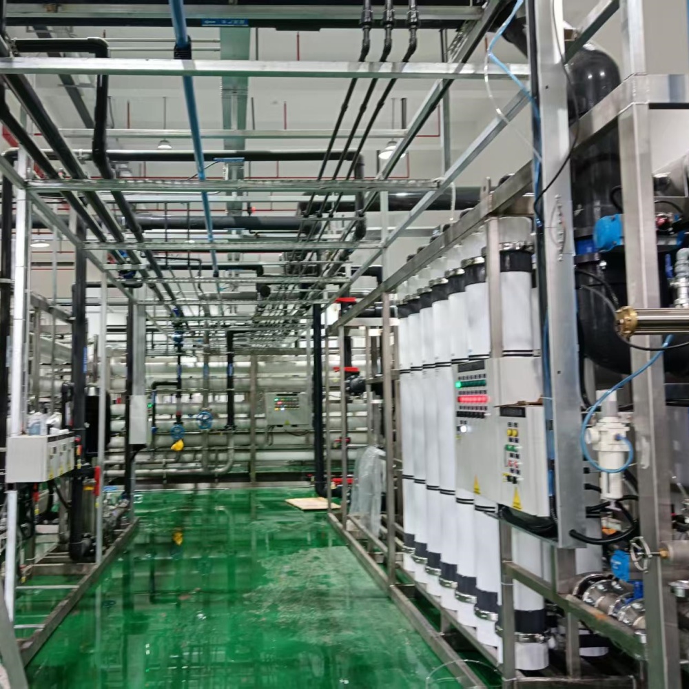 Electrodeionization System