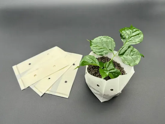 Fully degradable corn starch seedling bag