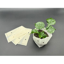 Biodegradable Seedling Bags Fully degradable corn starch seedling bag Factory