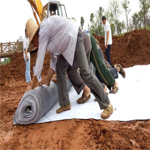 Fermeau géosynthétique Argile Landfill Fermage géotextile perméable