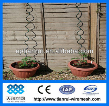 tomato spiral wire