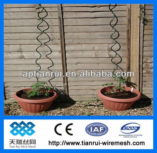 tomato spiral wire