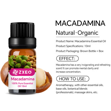 Macadamia orgânica natural pura Óleo prensado a frio OEM OEM ODM Macadamia Nut Argan Oil Oil