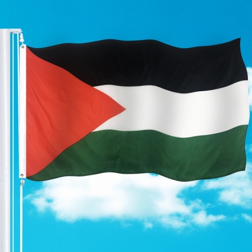 Polyester Palestine Black White Green Design Flag 3x5