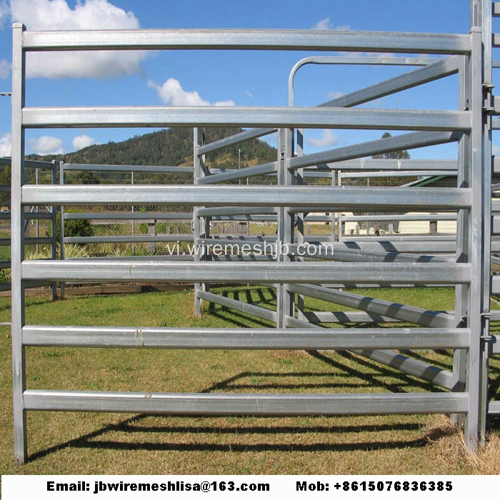 Hàng rào ngựa mạ kẽm / Hàng rào gia súc / Hàng rào chăn nuôi
