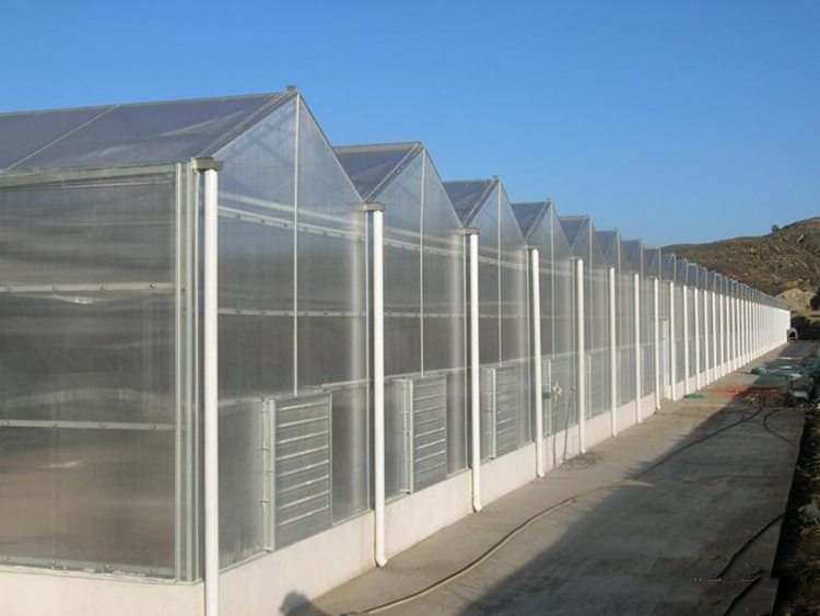 Multi-Span Agricultural Greenhouses