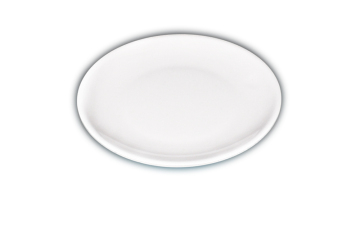 9.9'' Melamine Round Plate