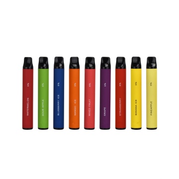 1600Puffs Excellent Taste Fruit Flavour Disposable Vape Pen