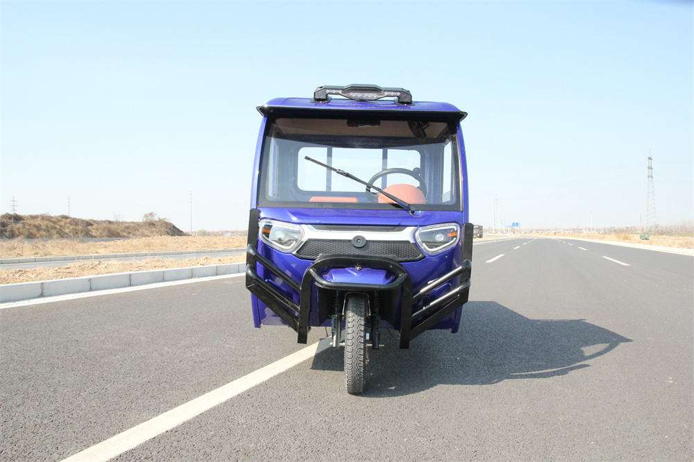 Electric passenger tricycle Cargo Electric Vehicle