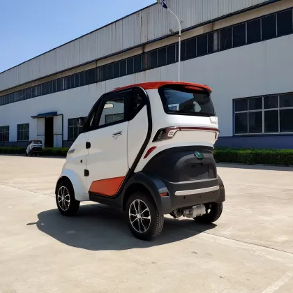 Sightseeing Electric Vehicles Without Driving License