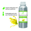 100% puro y natural Ylang Ylang Oil Essential esencial Aceite de bluk Bluk de alta calidad para compradores globales El mejor precio