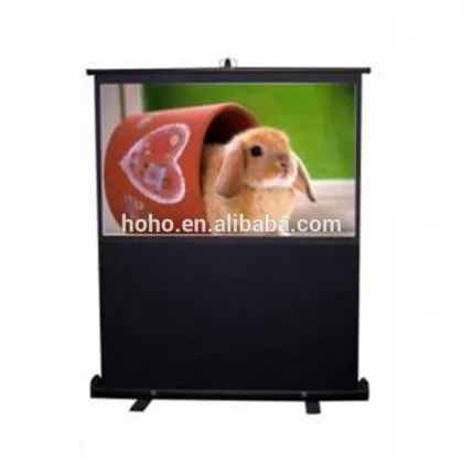 Floor Standing Pull Up Projector Screen/Display Screen Projector