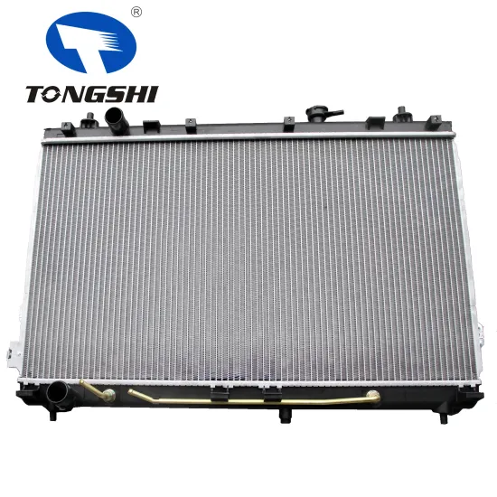Aluminum Radiator for Hyundai Sedona & Entourage 3.8L V6