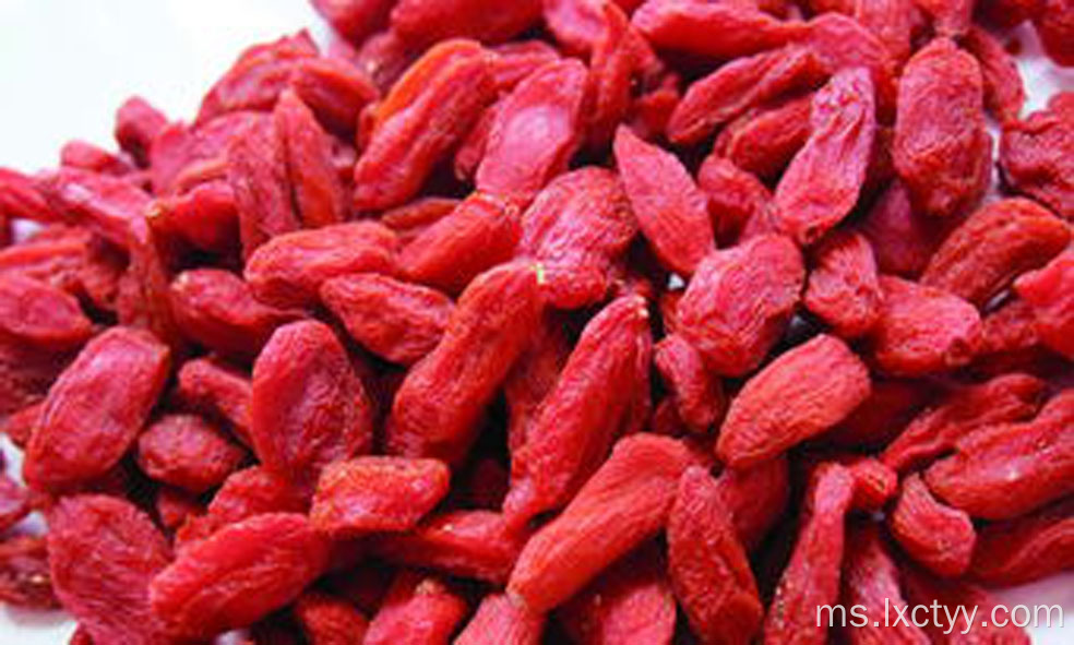 membekukan berry goji kering