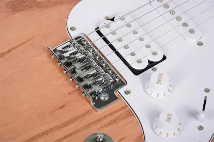 KST213 Chinese Mahogany wood electric guitar