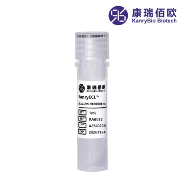 KanryECL™ Mouse Anti-Human IgG κ Ab-Ru