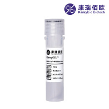 KanryECL™ Mouse Anti-Human IgG κ Ab-Ru