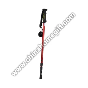 Walking Stick Hiking