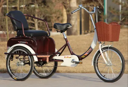 Tricycle for Adults Tricycle Bike