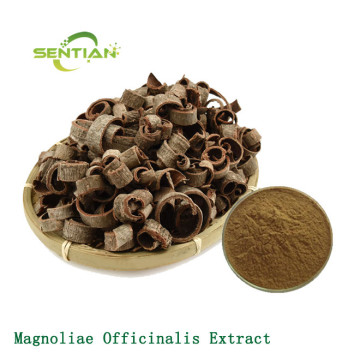 Supply Magnolia Bark Extract Powder