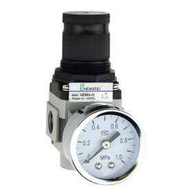 AR2000A-02 G1 / 4 &quot;Regulator Udara 22-123 psi