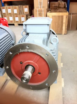 Customized WEG Brand Electric Motor