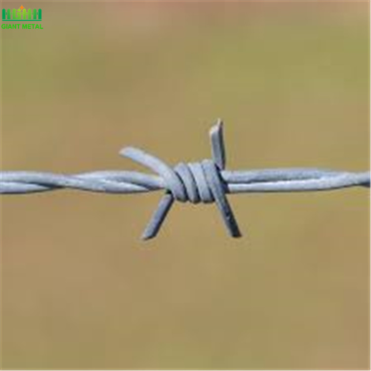 Cheap Galvanized Barbed Wire Fence