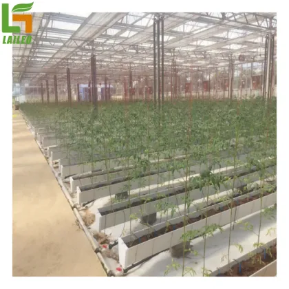 Gutter Support Hydroponics Tomato Greenhouse for Sale